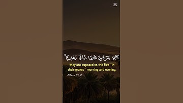 اصحاب القران الكريم بصوت جميل #اكسبلور #دويتو