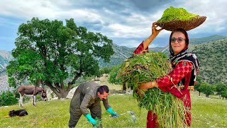 Beautiful IRAN and Village Cooking | Picking pistachios and making stew | Alta Village