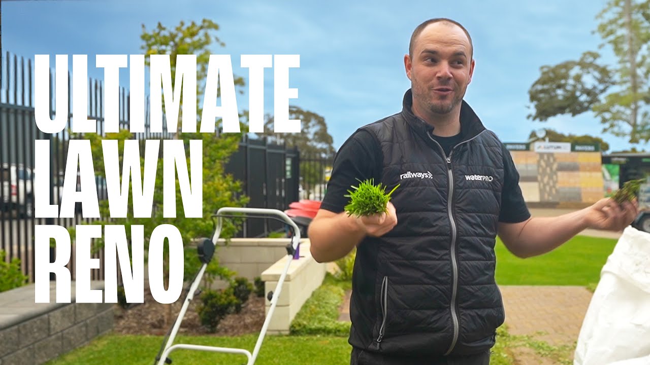 Ultimate Lawn Renovation (BUFFALO, KIKUYU, TIFTUF)