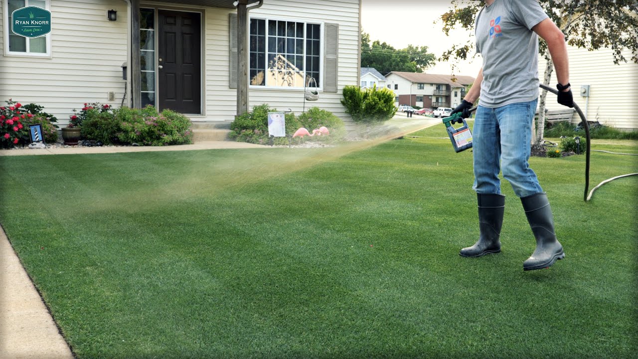 Can You FERTILIZE Your Lawn In SUMMER YouTube