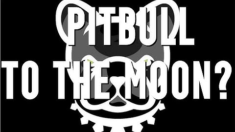 The Most Important Pitbull Crypto Video You Will Ever Watch