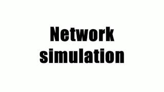 Network simulation