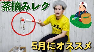 【高齢者向け】5月のオススメイベント。盛り上がるアイデアまとめ