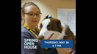 SPRING OPEN HOUSE! Join us to see how you can train for a healthcare career!