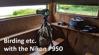 Birding etc with the Nikon P950