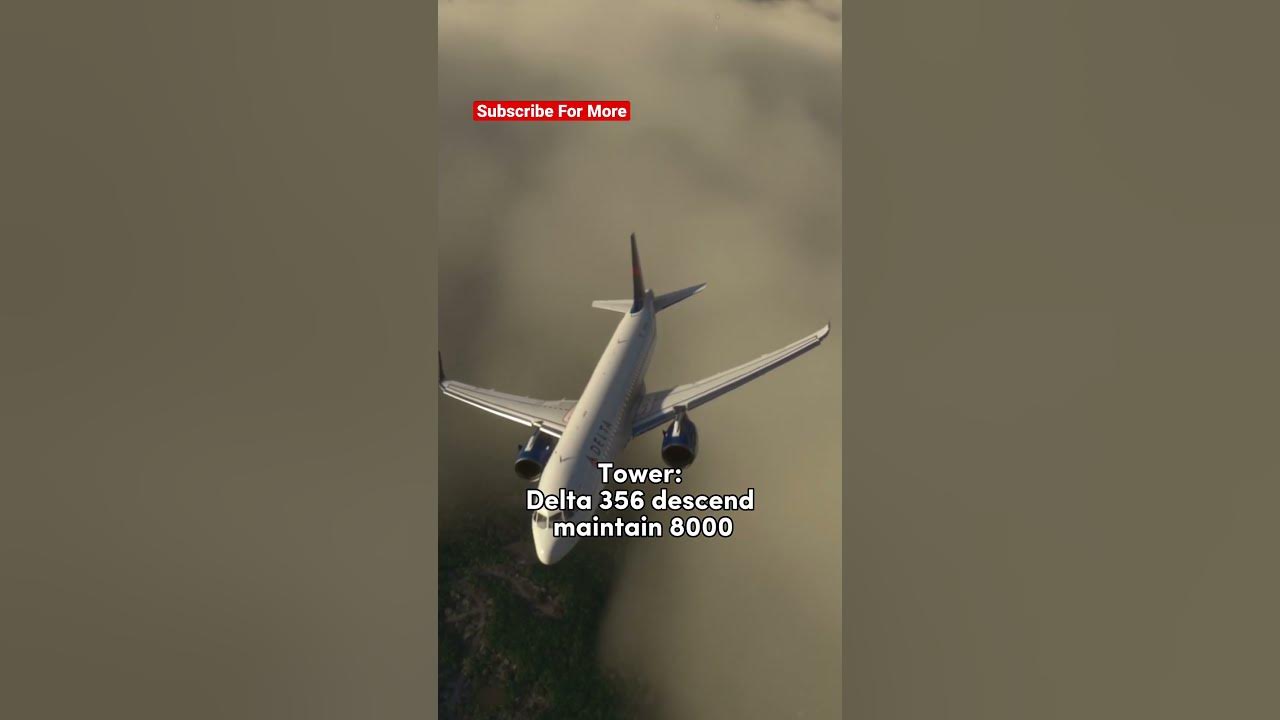 Engine STOPS Working on Delta Flight 202 Passengers on board Pilot