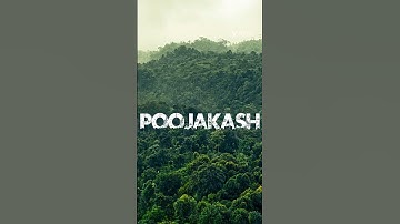 URBAN JUNGLE FONT #reels #trending #trendingreels