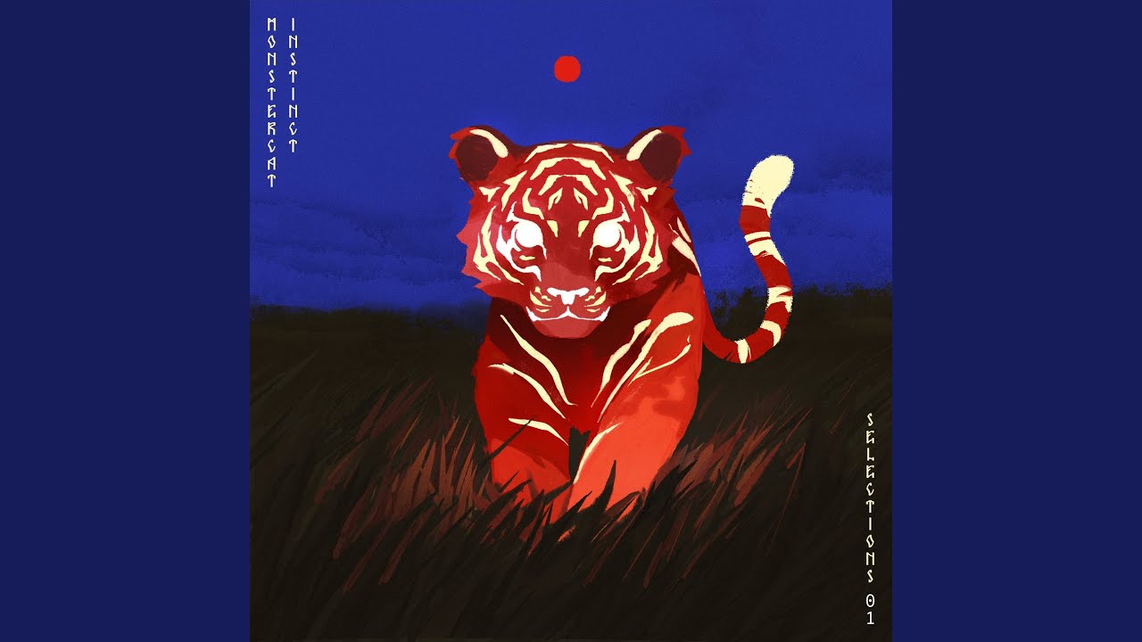 Guarda IDWBL su YouTube Guarda IDWBL su YouTube