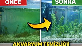 Akvaryum Temizliği Baştan Sona! 🐠 Dip Çekimi, Filtre Temizliği ve Püf Noktaları