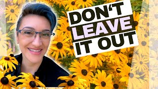 Why EVERY Garden Needs Black Eyed Susans, and HOW to Grow Them From Seed by Lisa Likes Plants 25,578 views 3 months ago 13 minutes, 4 seconds
