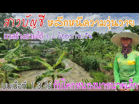 สาวบัญชีมาทำเกษตรผสมผสานในรูปแบบโคกหนองนาขนาดเล็ก บนเนื้อที่ 1.3 ไร่ได้อย่างลงตัว
