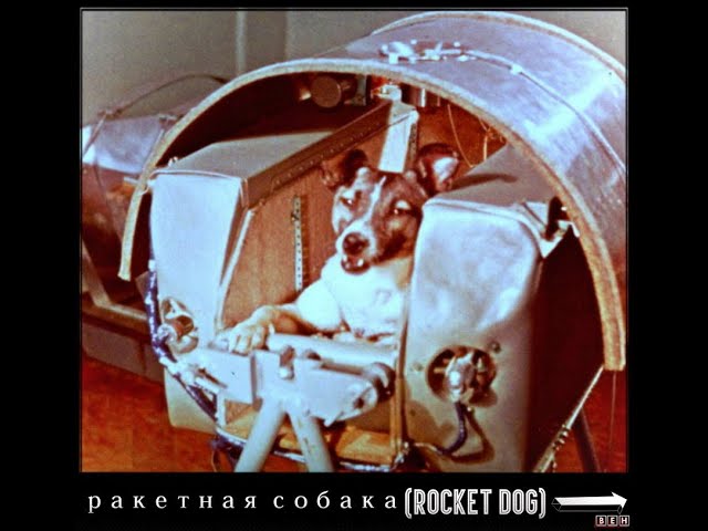 Pакетная Cобака (Rocket Dog) - (by: BEH) class=