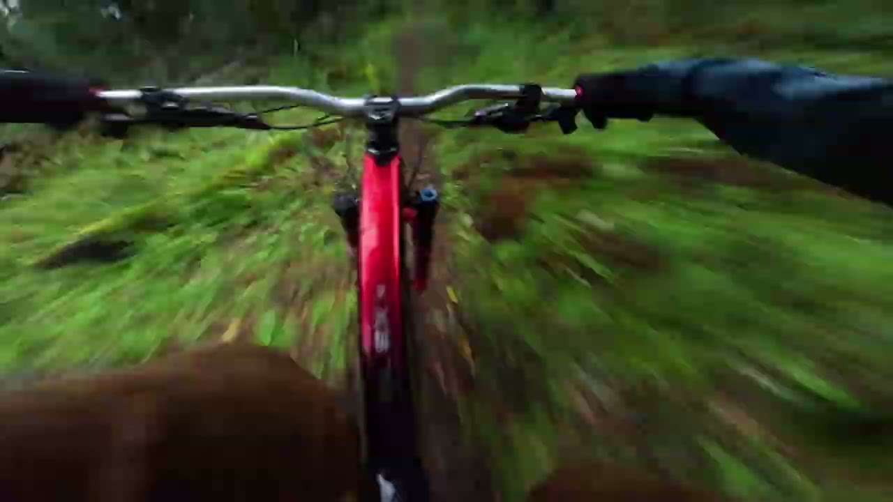 Secret Marin trails in the Rain