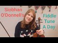 Siobhan O&#39;Donnell&#39;s (Irish Jig) FIDDLE TUNE A DAY 🎶