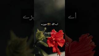 Aay Allah Merey Wo Sub Guhna Status islamicstatus sad islamicart islamicpage ytshorts foryou