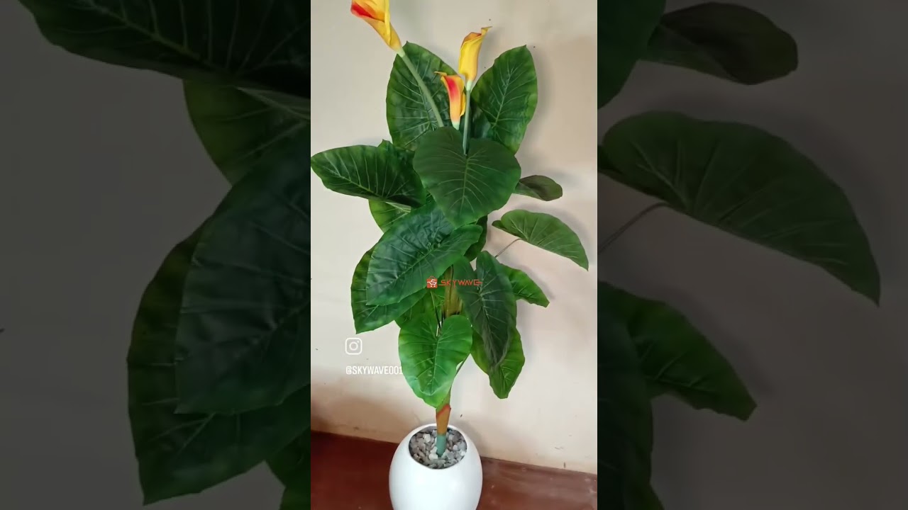 Artificial calla lily Plant with Fiberglass Pot. 