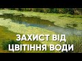 Захист від цвітіння води. Комплезім В - біопрепарат для очищення водойм. Комплекс бактерій.