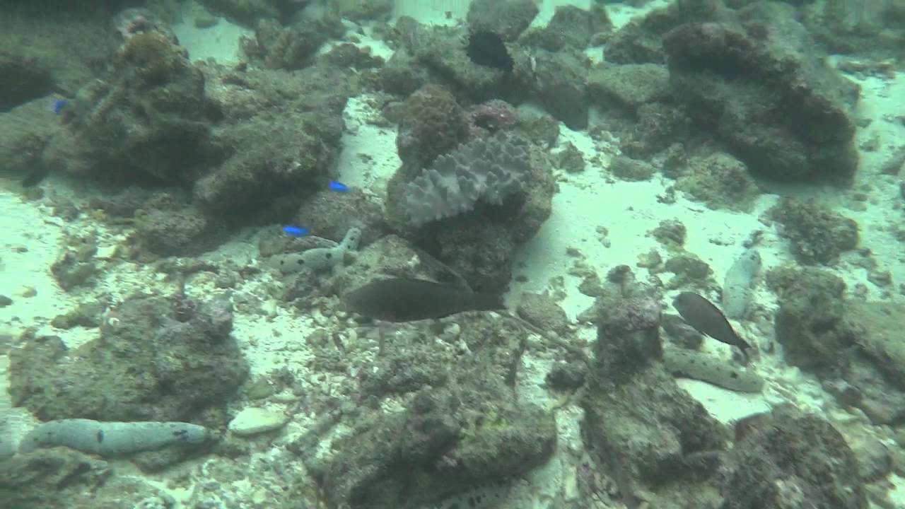 Gettin around - Mystery Island - New Caledonia