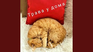 Трава у дома - YODA117