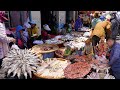Cambodian Dry Fish Market Scene - Massive Kind of Dry Fish, Frog, Beef &amp; More Buffalo In Dry Market