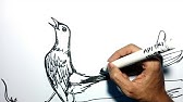 Cara Menggambar Burung Murai Batu Youtube