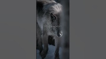 SIGMA RULE 💯🥶 #selfimprovement #motivation #video