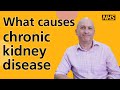 What Causes Chronic Kidney Disease