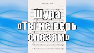 "Ты не верь слезам" (Шура, П. Есенин) - ноты для квинтета духовых инструментов