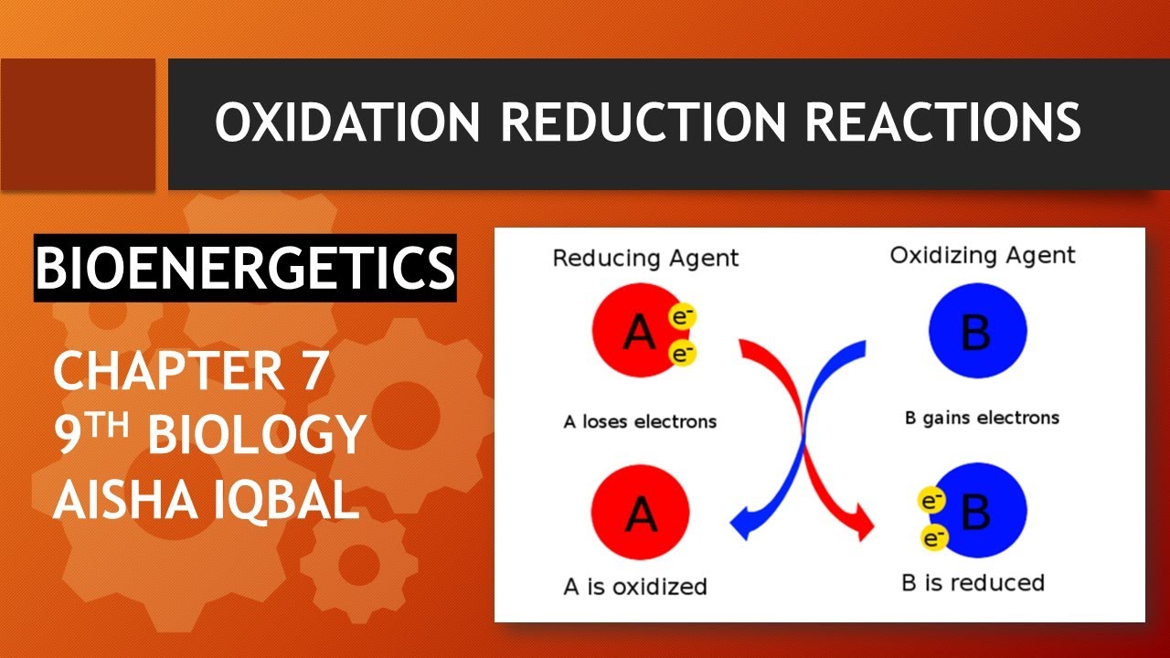oxidation-reduction-reaction-class-9-bioenergetics-youtube