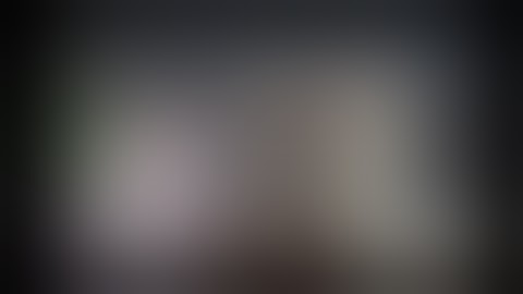 Do not feed the monkeys lite gameplay android