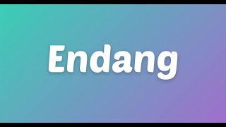 Lagu Ulang Tahun Endang 2