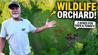 Building a 2-Acre Wildlife Orchard for Deer & Turkeys | Tom's Habitat Project 2026