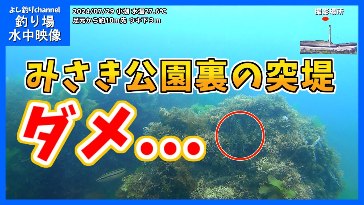 【ダメ！】大阪の釣り場「みさき公園裏（長松自然海岸堤防）」2024年7月 真夏の水中映像  No.390