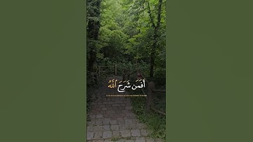 أفمن شرح الله صدره للإسلام فهو على نور من ربه فويل للقاسية | الآية 22 من سورة الزمر