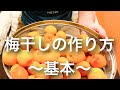 定番の梅干しの作り方 漬け方 How to make Umeboshi Pickled Japanese Ume Vol.1 Japan