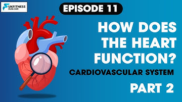 Sports and Exercise Science Series EP11: The Cardiovascular System Part 2