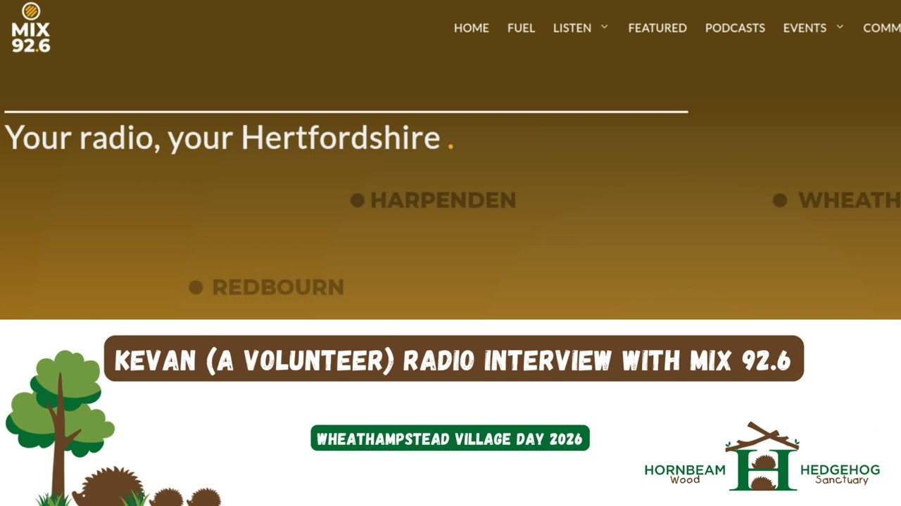 Mix92.6 interview live at Wheathampstead Village Day 2026 - Hornbeam Wood Hedgehog Sanctuary