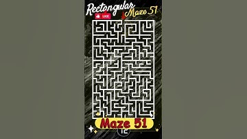 Rectangular mazes Maze 51 #hiddenpuzzles #mazes