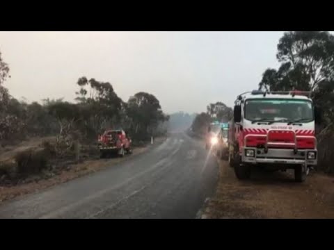 Video: Piove dopo un incendio?