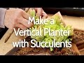 How to Make a Living Vertical Planter with Sedum and Aeonium