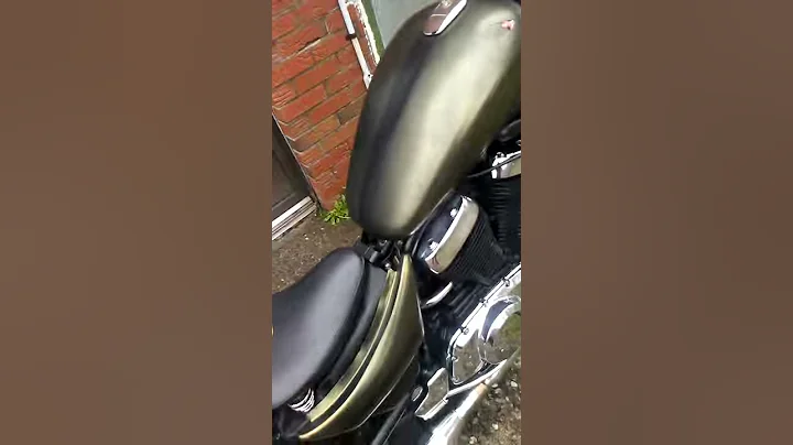Suzuki intruder bobbed out!