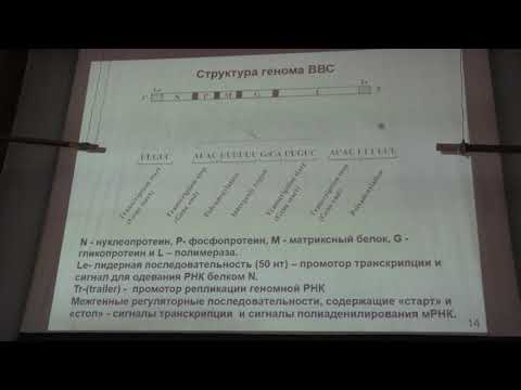 Видео: Кто обнаружил, что вирус представляет собой нуклеопротеиновый объект?