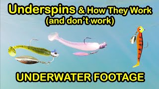 Underspin Fishing Lure Tips, How They Work Underwater, How to Fish Underspins