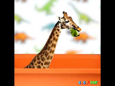 The Giraffe Became a Giant! Towering Over Everything! 🦒✨ #Shorts ｜animal names, kidstoon｜CoCosToy