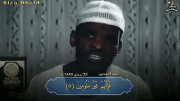 القرآن الكريم سورة المؤمنون.. شيخ مبارك الكردفاني