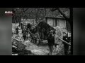 Paardenkrachten voor de boer - RPL TV Woerden - Geschiedenis
