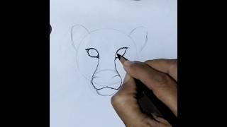 Cheetah easy drawing #shorts #drawing