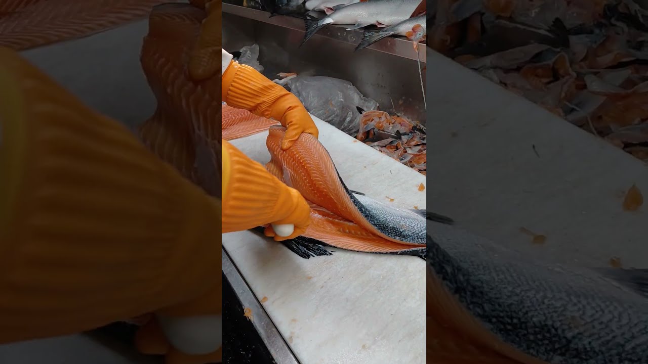 salmon fillet master pablo~