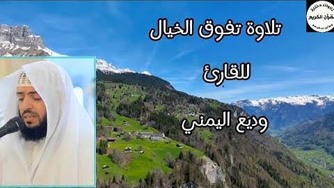 سورة القمر 🌿تلاوة تريح النفس 🌿للقارئ وديع اليمني