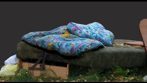 3D Scan - Canon 5D Mark III - Agisoft PhotoScan